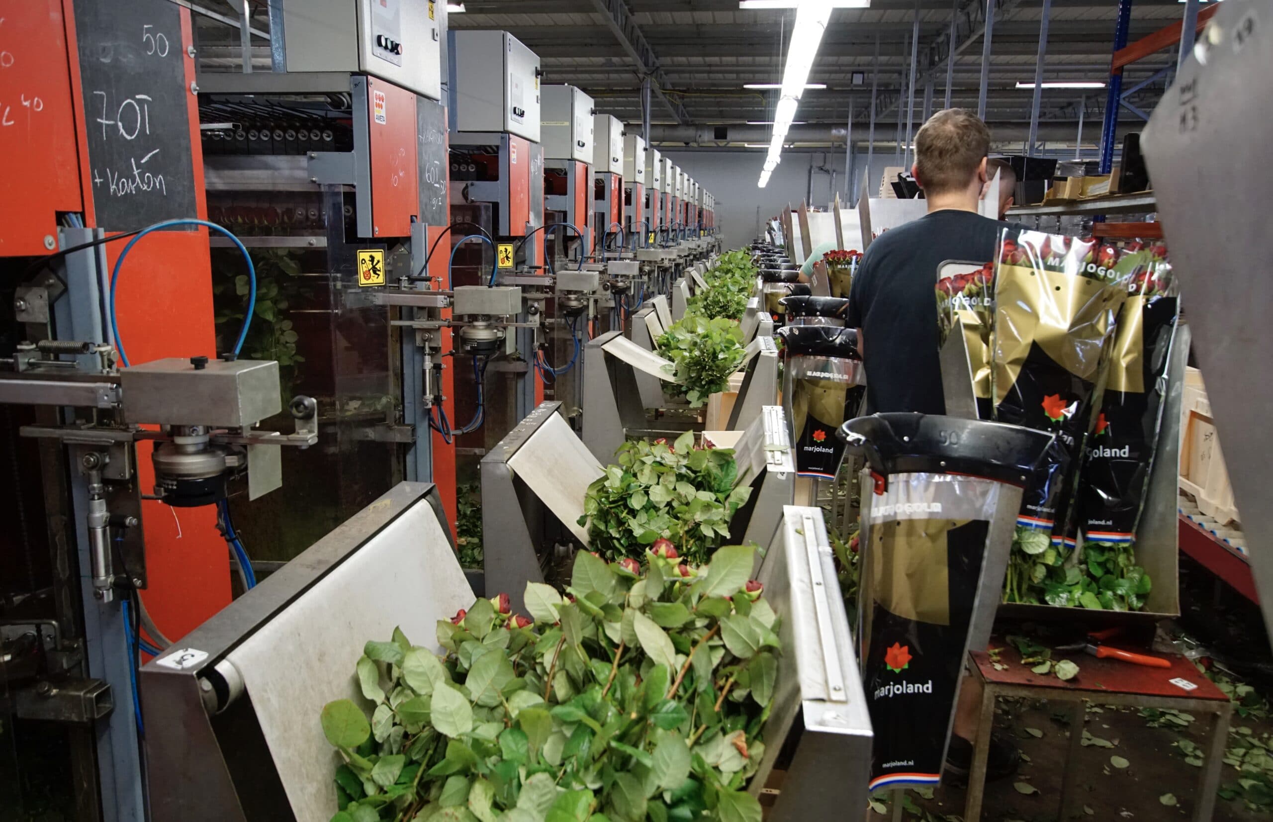 Marjoland verpakking