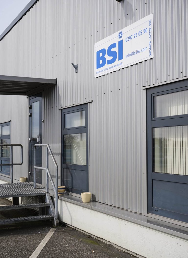 BSI