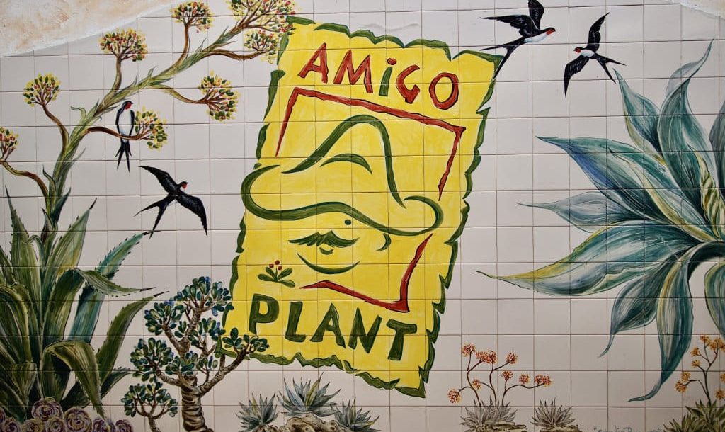 KBA past naadloos bij de innovatieve 24/7 servicebehoeften en bedrijfsprocessen voor teelt, logistiek en verkoop van Amigo Plant.